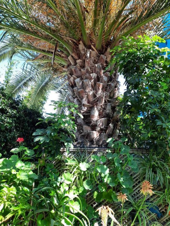 Maison D Hotes Marine Ksar Sghir Luaran gambar