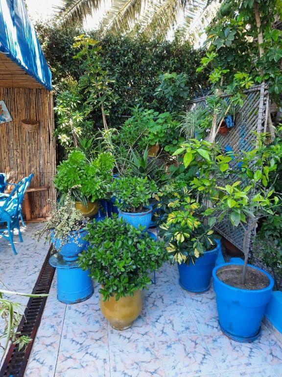 Maison D Hotes Marine Ksar Sghir Luaran gambar