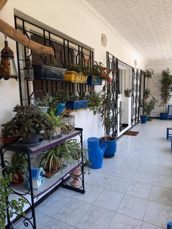 Maison D Hotes Marine Ksar Sghir Luaran gambar
