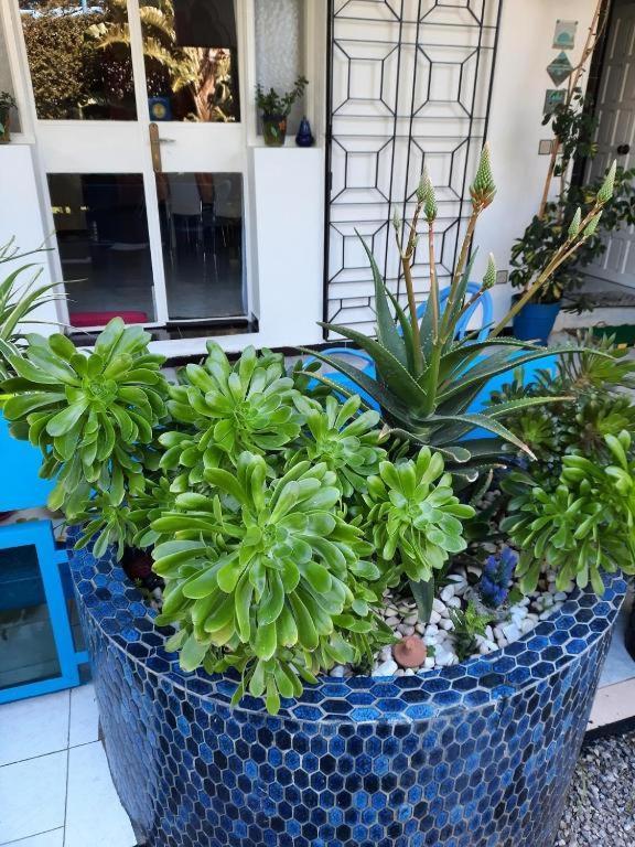 Maison D Hotes Marine Ksar Sghir Luaran gambar