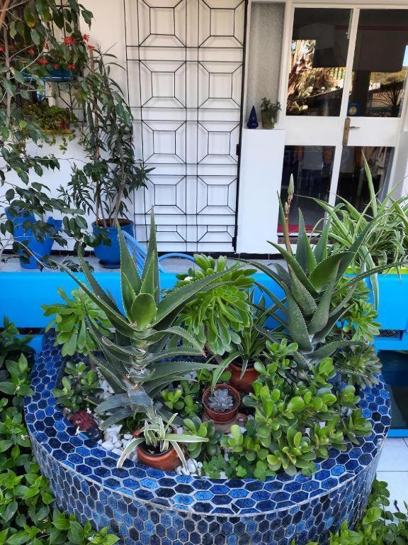 Maison D Hotes Marine Ksar Sghir Luaran gambar