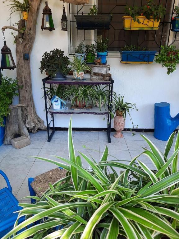 Maison D Hotes Marine Ksar Sghir Luaran gambar