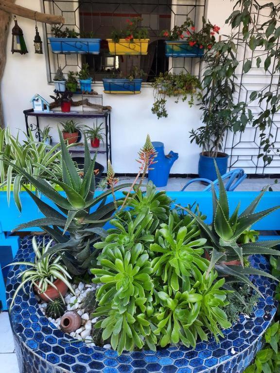 Maison D Hotes Marine Ksar Sghir Luaran gambar