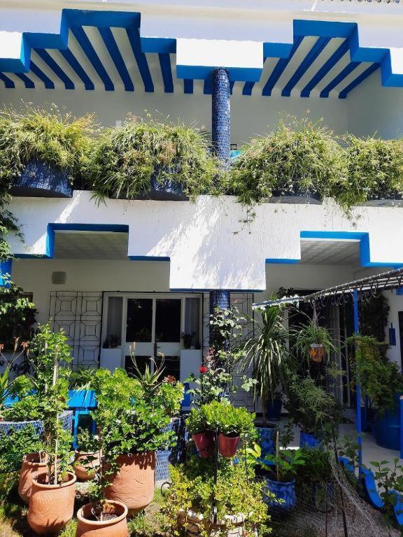 Maison D Hotes Marine Ksar Sghir Luaran gambar