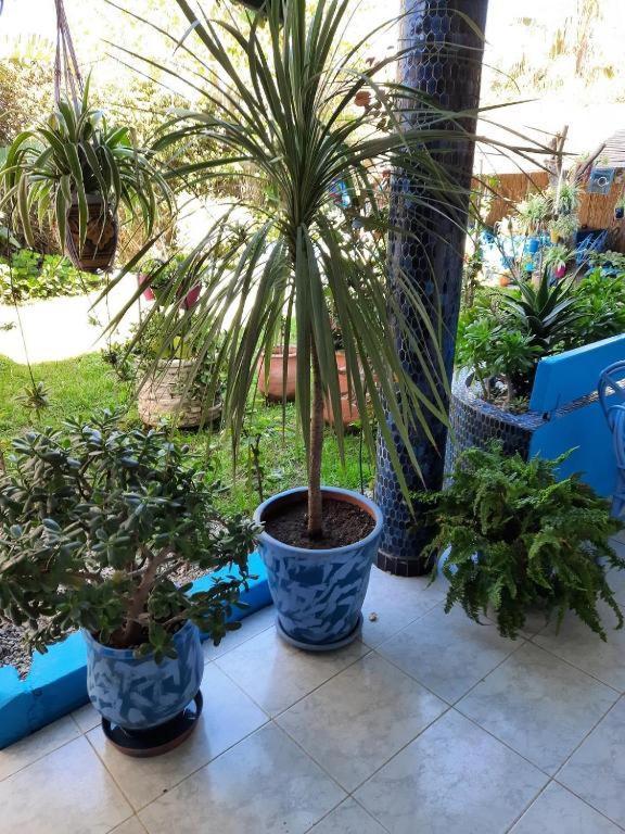 Maison D Hotes Marine Ksar Sghir Luaran gambar