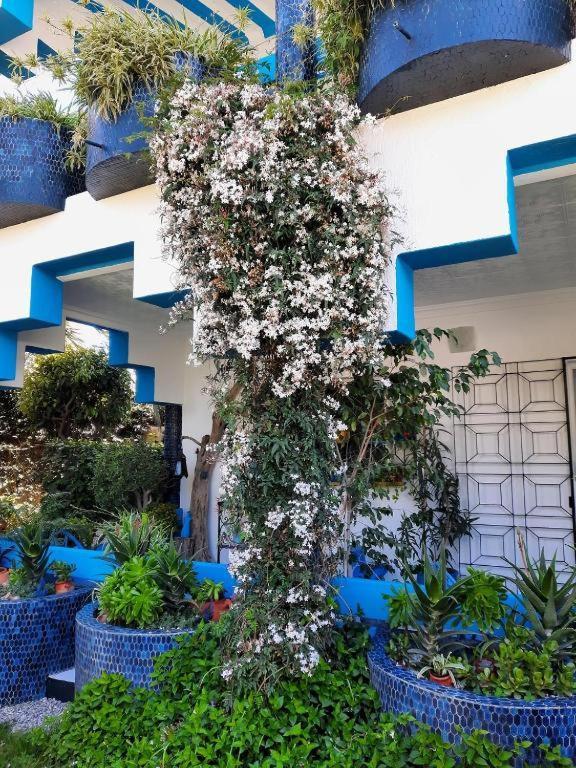 Maison D Hotes Marine Ksar Sghir Luaran gambar
